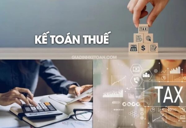 Kế toán Thuế (081195)